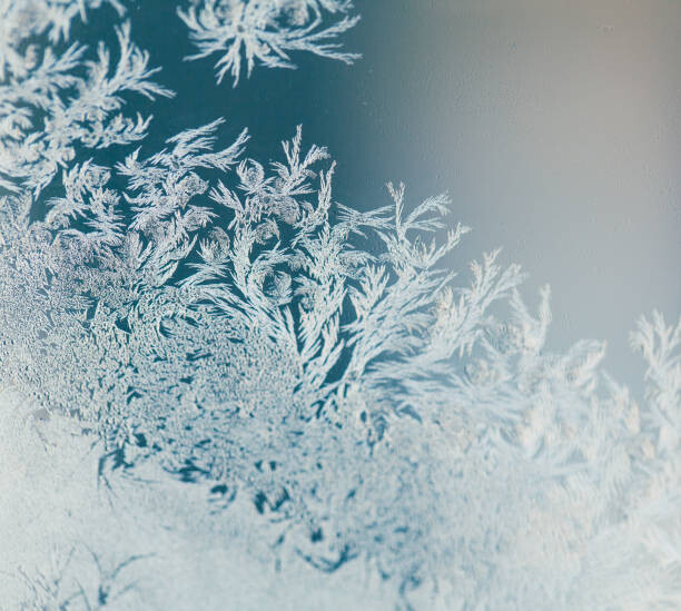 Canvas Print Magical frost ornaments on the window.