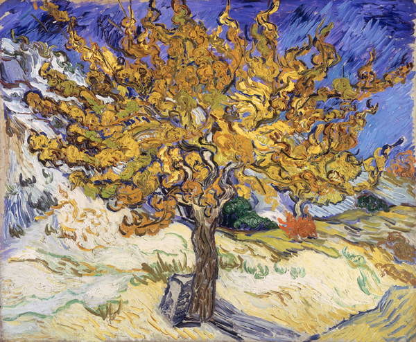Canvas Print Mulberry Tree, 1889