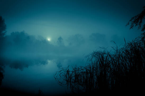 Canvas Print Night mystical scenery. Full moon over