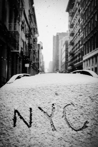 Canvas Print NYC Snow