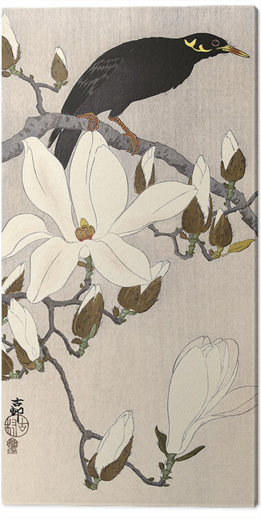 Canvas Print Ohara Koson - Myna on Magnolia Branch