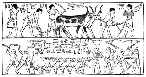 Canvas Print Old engraved illustration of depiction from