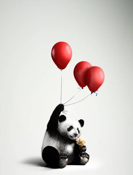 Canvas Print Panda holding balloons, licking ice cream