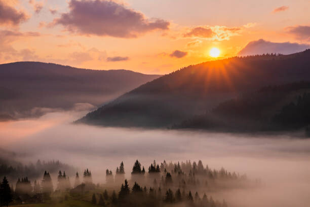 Canvas Print Panorama of a misty dawn in