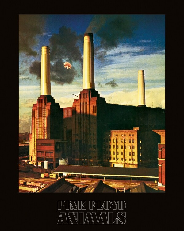 Canvas print Pink Floyd - Animal | Fine Art Prints & Wall Decorations