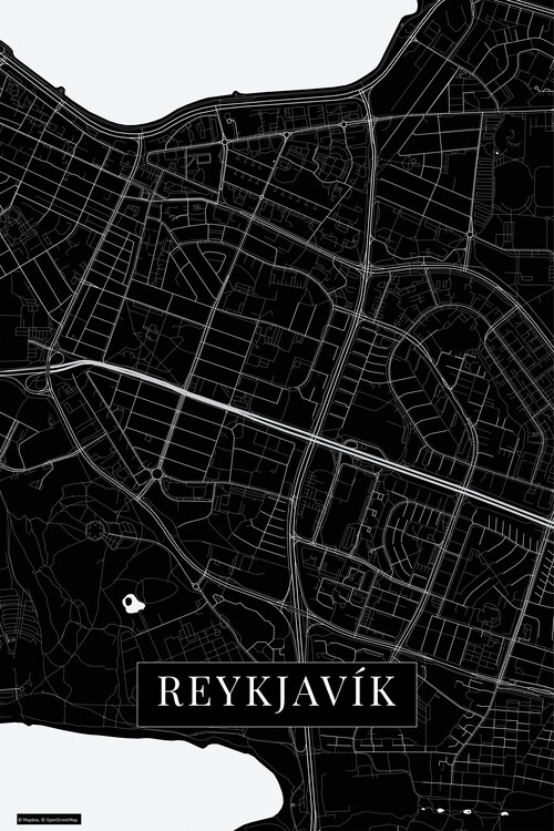 Canvas Print Reykjavik black