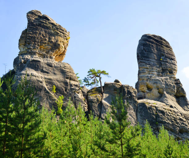 Canvas Print Sandstone rock in Hruboskalsko Nature Reserve,
