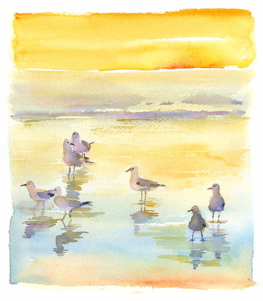 Canvas Print Seagulls on beach, 2014,