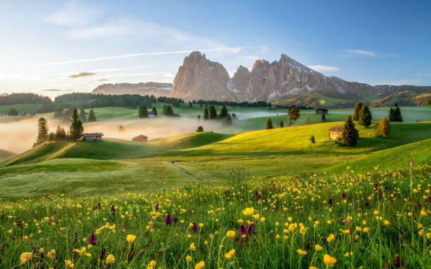 Canvas Print Seiser Alm, Dolomite Alps, Italy, Europe