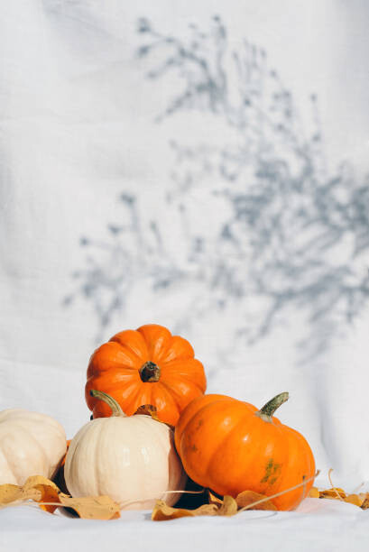 Canvas Print Small pumpkins
