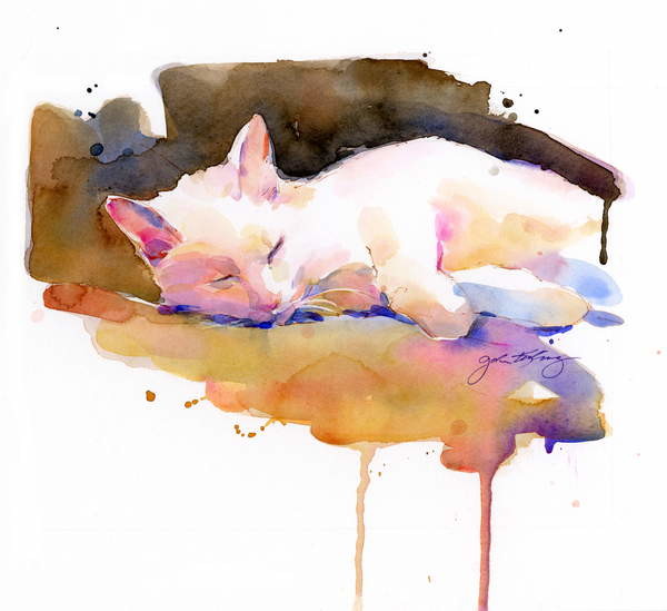 Canvas Print Snowball sleeping, 2014,