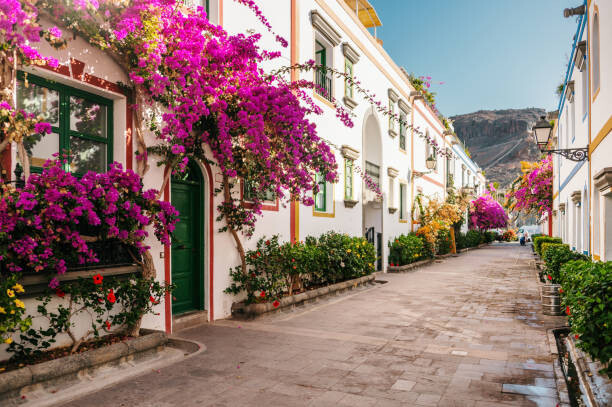 Canvas Print Street in Mogán, Gran Canaria, Spain