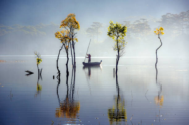 Canvas Print sunbeam and trees reflected on the