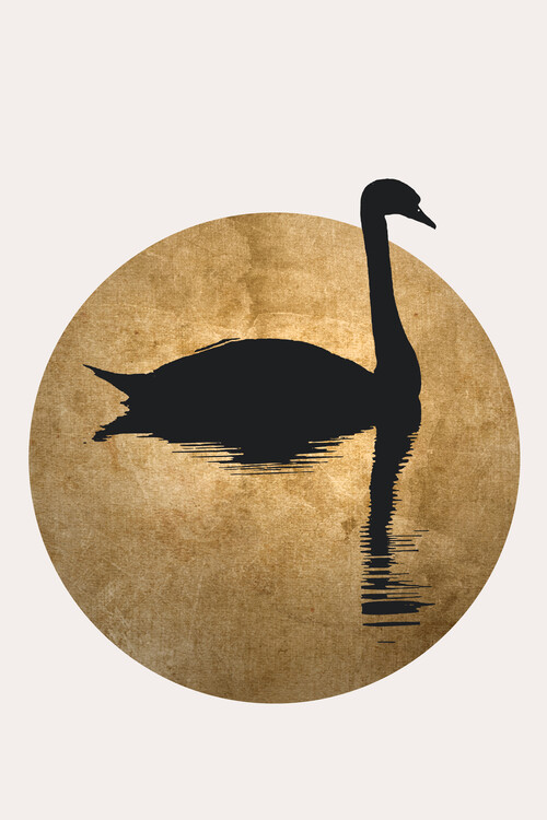 Canvas Print The Swan