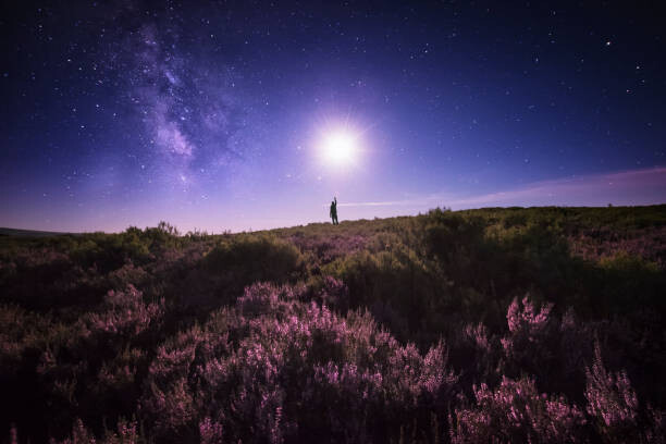 Canvas Print Touching the Moon and the Milky Way