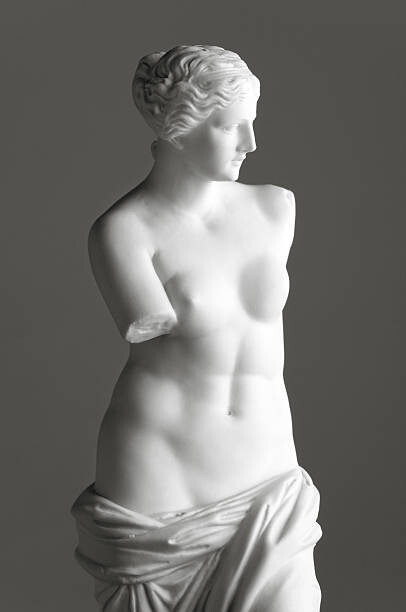Canvas Print Venus de Milo on grey
