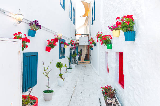Canvas Print View of white street and flowers