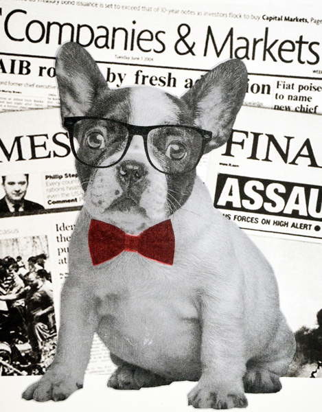 Canvas Print Wall street dog, 2015,