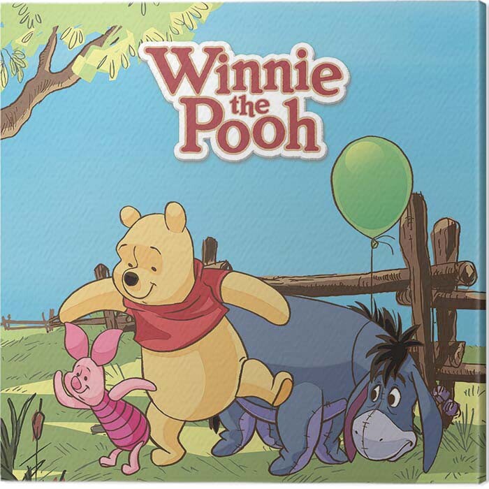 Disney Womens Winnie the Pooh Graphic Super No Show Socks