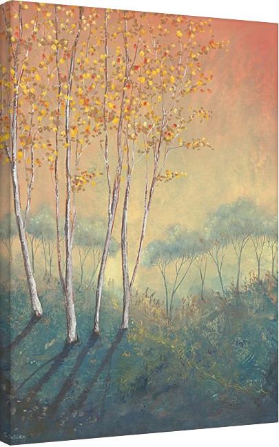 Serena Sussex - Silver Birch Tree in Autumn Canvas Print