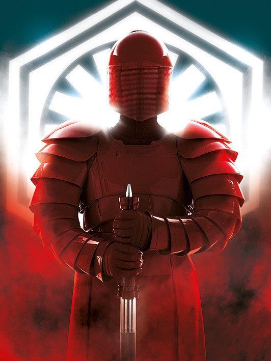 Canvas Print Star Wars The Last Jedi Elite Guard Defend Sold At