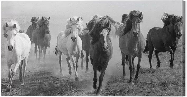 Canvas-taulu Carys Jones - Dusty Plains