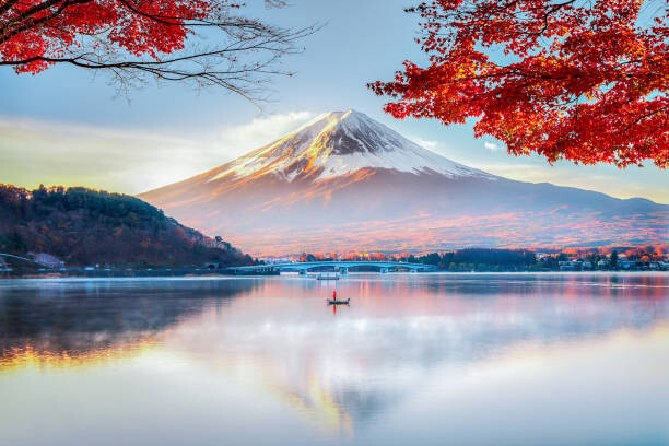 Canvas-taulu Fuji Mountain , Red Maple Tree