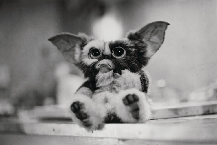 Canvas-taulu Gremlins