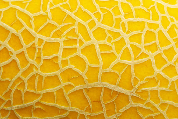 Canvas-taulu melon texture background close up macro