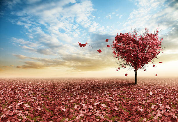 Canvas-taulu Red heart tree