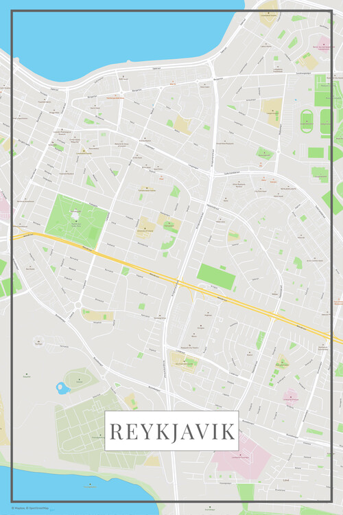Canvas-taulu Reykjavik color