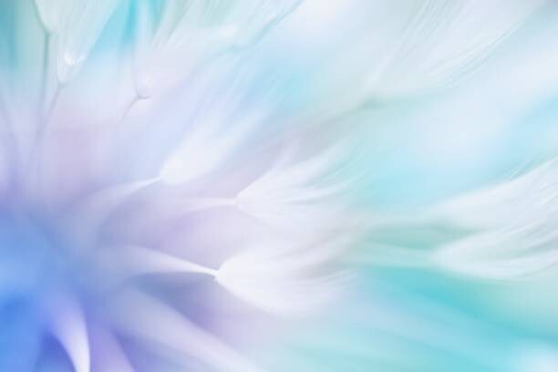 Canvas-taulu Soft abstract gradient background , abstract