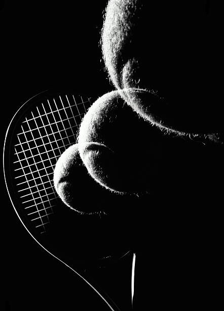 Canvas-taulu TENNIS IMAGE