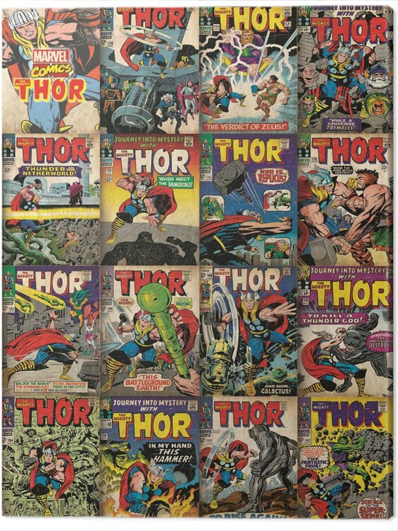 Canvas-taulu Thor - Covers