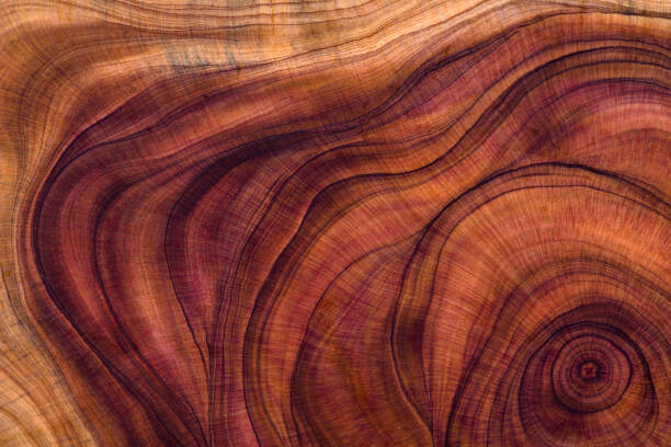 Canvas-taulu Wood pattern