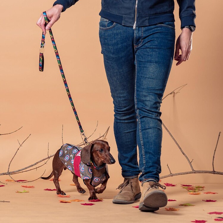 Captain america dog top harness