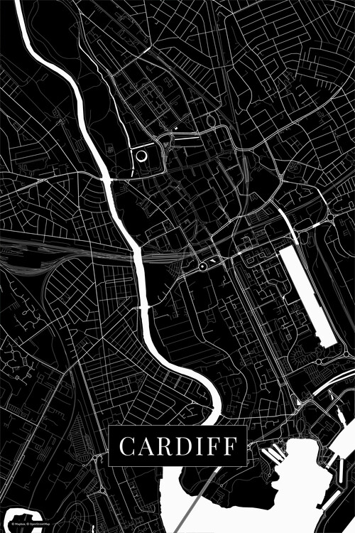 Фотошпалери Cardiff black