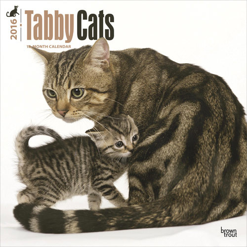 Calendar 2021 Cats 3