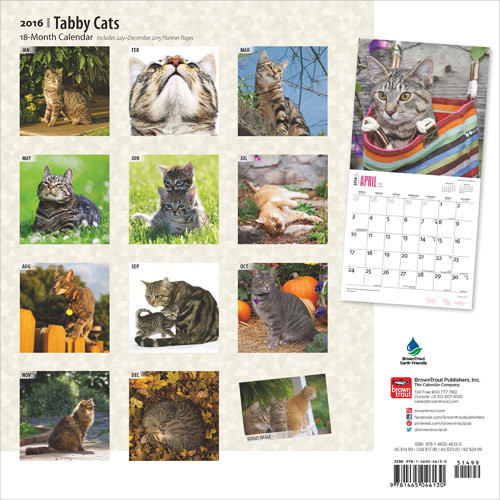 Calendar 2021 Cats 3