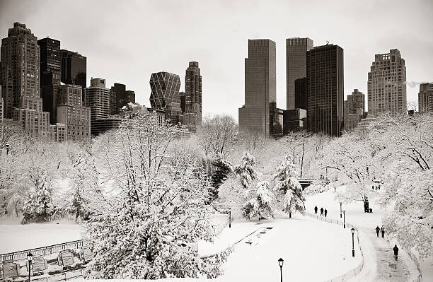 Αυτοκόλλητο Central Park winter