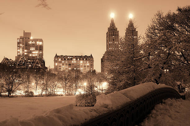 Αυτοκόλλητο Central Park winter