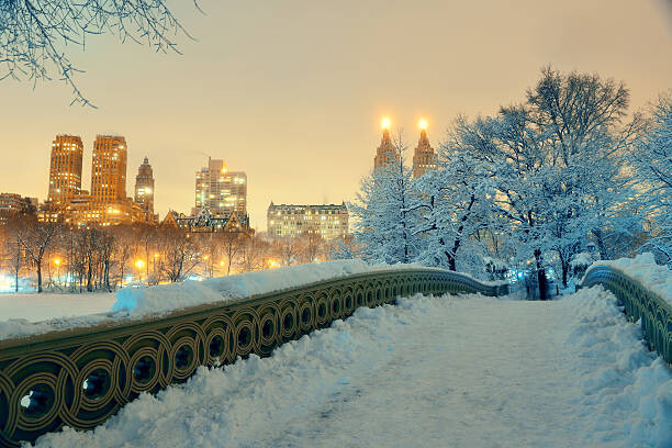 Αυτοκόλλητο Central Park winter