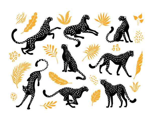 Наклейка Cheetahs silhouettes collection.