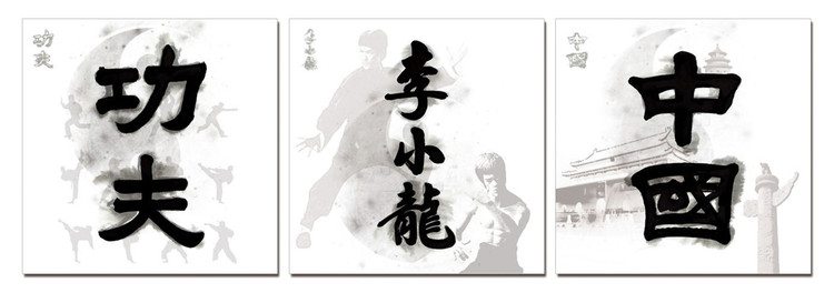 Quadro China Signs - Kung Fu. Bruce Lee, China