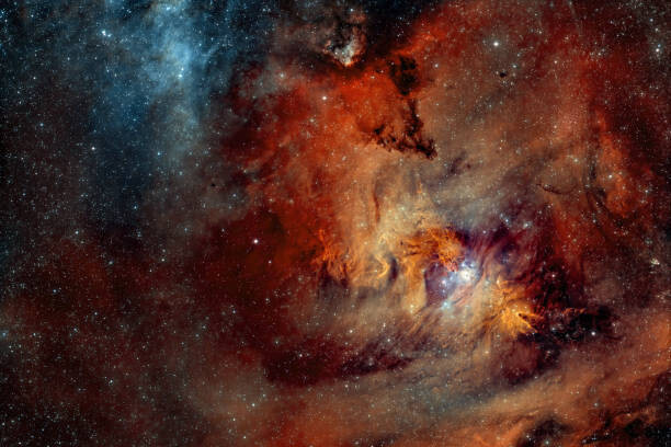 Αυτοκόλλητο Christmas Tree Cluster And The Cone