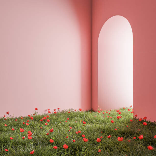 Camisola Colorful living room with decoration on