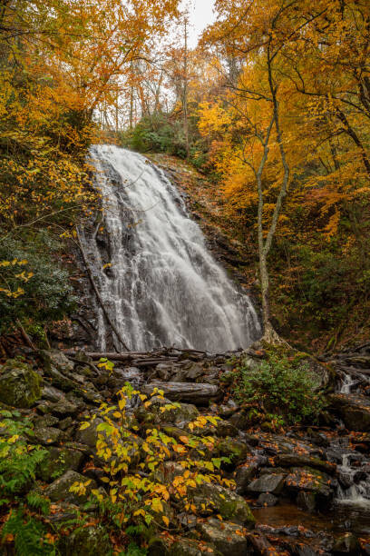 Stenska nalepka Crabtree Falls