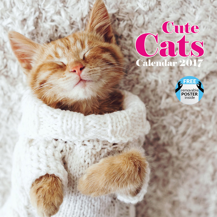 Calendar 2021 Cute cats