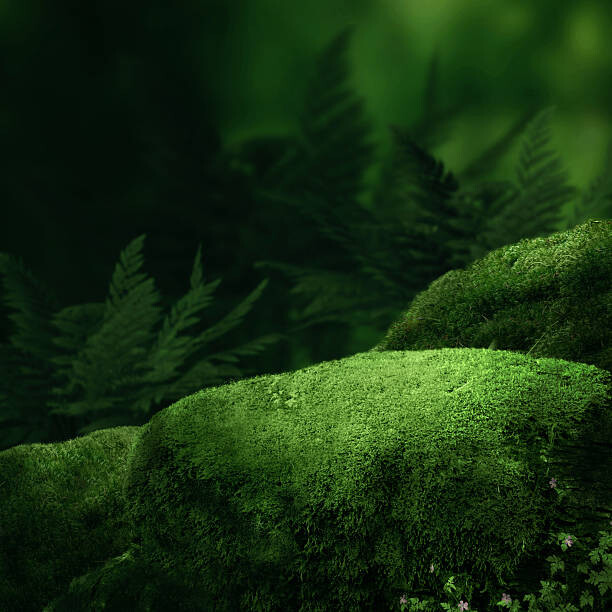 Αυτοκόλλητο Dark magic forest