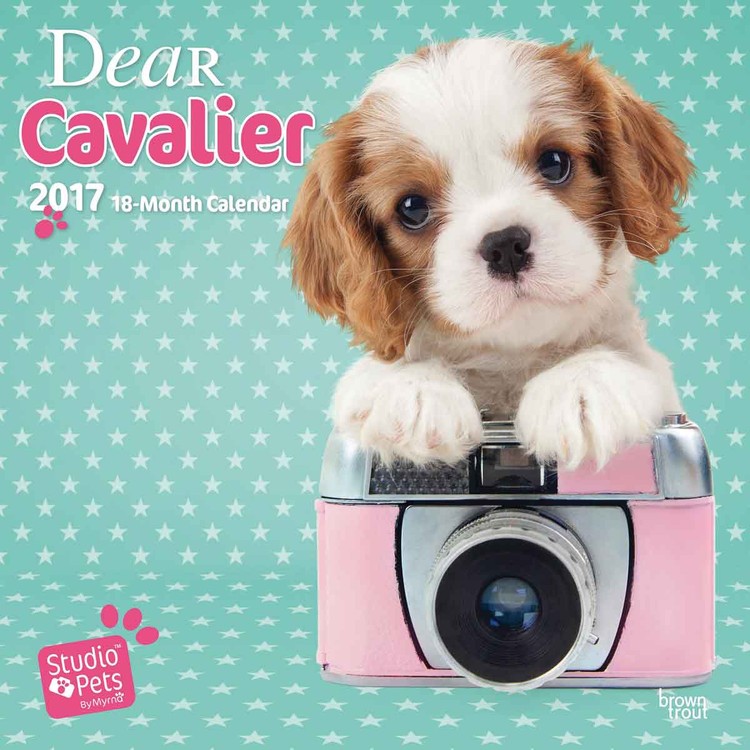 Calendar 2021 Dear Cavalier